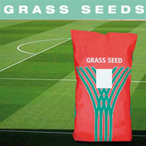 football pitch grass seed